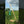 Zaphir Carillon Crystalide Primavera Verde - Shanti. Prodotto in Francia